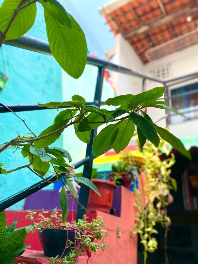 Casa Guarnice Hostel São Luís Екстериор снимка